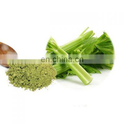 Hot sales 100% Natural Freeze Dried Celery Powder/Celery Juice Powder Concentrate Powder Made in Viet Nam