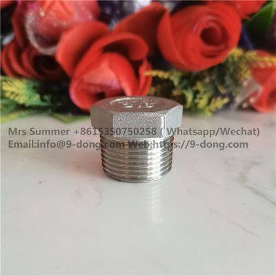 Stainless Steel Hex Plug (Threaded pipe fittings)