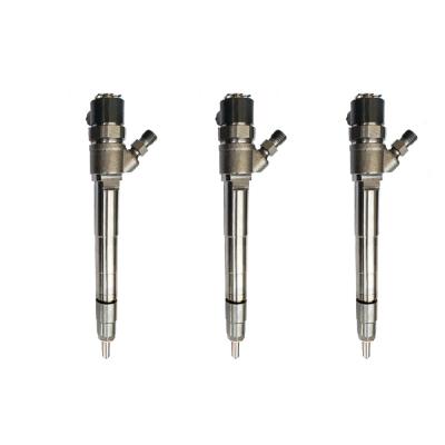 High Standard Bosh Fuel Injection Common Rail Fuel Injector 0445110376 for Machinery Engine Parts