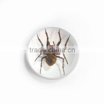 Promotional Gifts Clear Semicircle Crystal Desktop Ornament photo-4