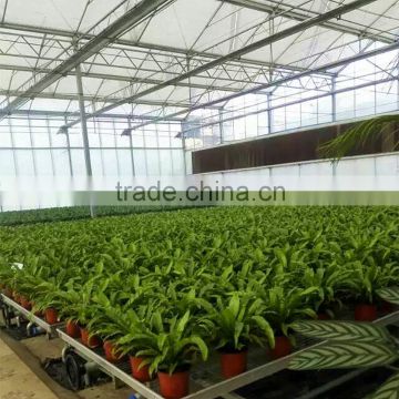 20 years manufacturer of greenhouses