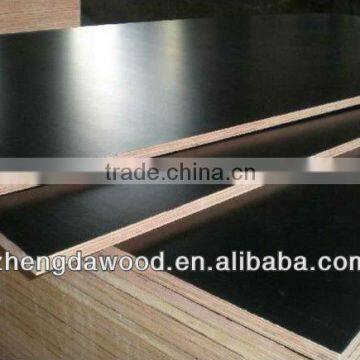 4x8 black film combi core 12mm waterproof film coated plywood