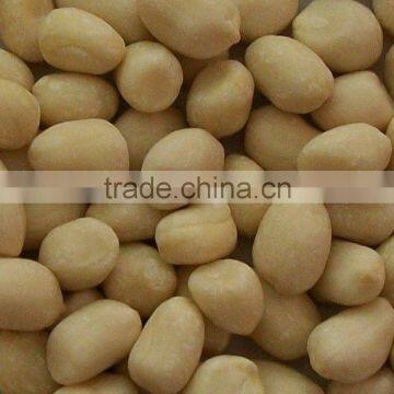 Blanched Peanut Kernel