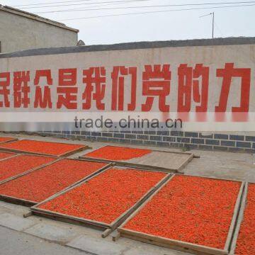 BLACK NINGXIA GOJI photo-2