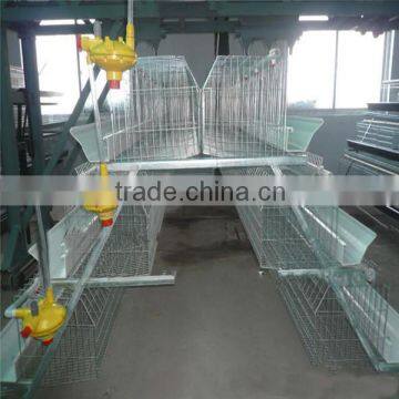 broiler battery cage with automatic feeding and manure removal equipments (professional manufacture)