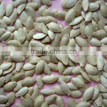 new crop chinese shine skin pumpkin seeds