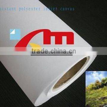 260 gsm Polyester Inkjet Printing Canvas