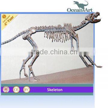 Museum Animal Skeleton for Sale Trade Assurance