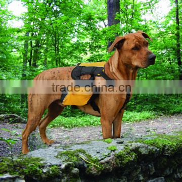 Dog backpack for a hike along the trail or a walk around town