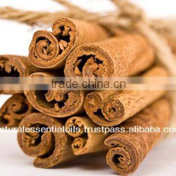 High Quality of Cinnamon Oil