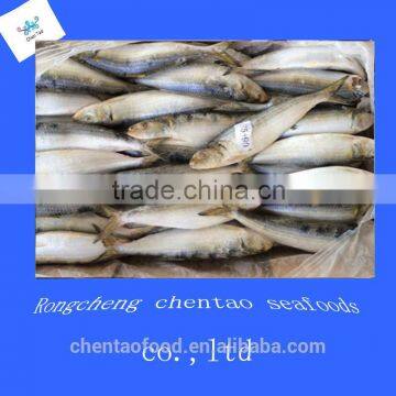 good quality sardines