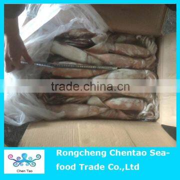Hot Sale Frozen Squid as Fish Bait photo-4