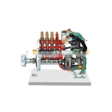 Anatomical In-line injection pump dissection model (RSV) educational equipment