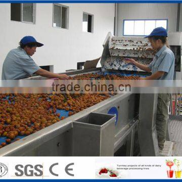 Chinese date juice processing line