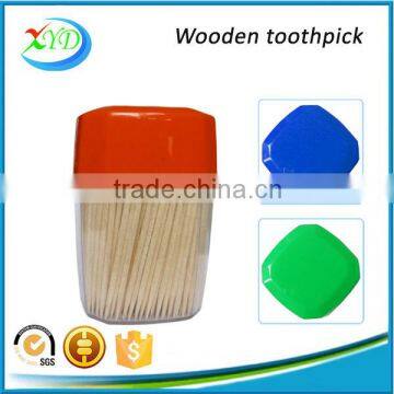 Harbin Toothpick Supplier Bamboo / Wooden Toothpicks Packed in Colorful Plastic Toothpick Bottle photo-2
