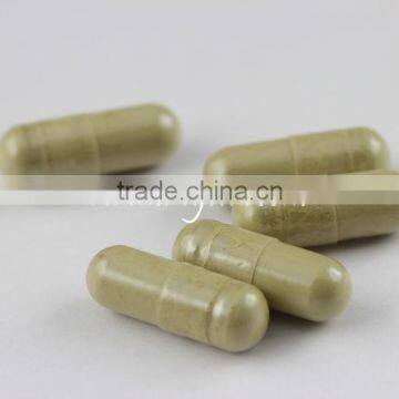 Organic Matcha Capsule Bamboo Whisk Matcha Tea