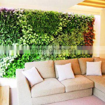 Widely Use Beautiful Garden Green Wall photo-5