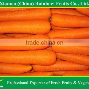 2015 New Harvest Red Fresh Carrot