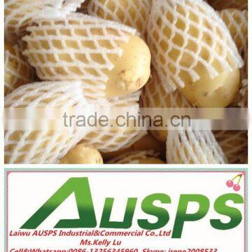 china fresh potato price per ton