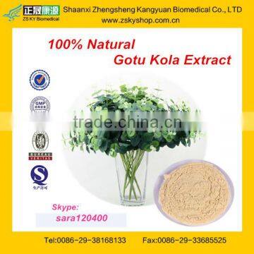 BEST PRICE GOTU KOLA EXTRACT ASIATICOSIDE MADECASSOSIDE