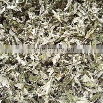 Chinese Mugwort leaf