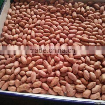 China Good Quality Oil Extractor Peanuts photo-3
