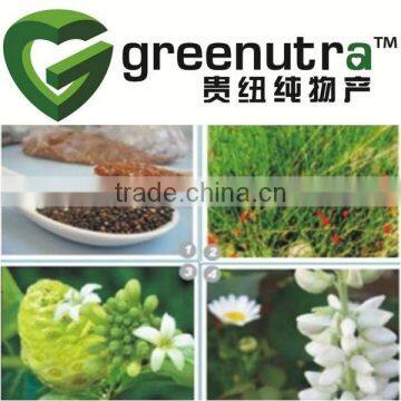 Quinoa bean extract