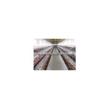 2015 best selling chicken cage products in nigeria