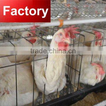 For layer poultry farm battery egg laying chicken cage for sale