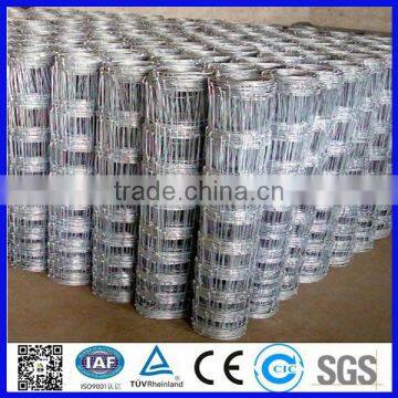 High quality galvanized fencing for T post