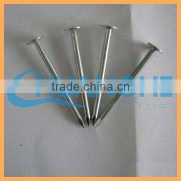 Manufacture High Quality Low Price Headless Iron Nails/lost Head wi photo-5