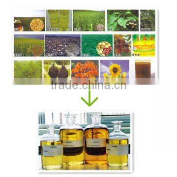 China most popular biodiesel recycling plant