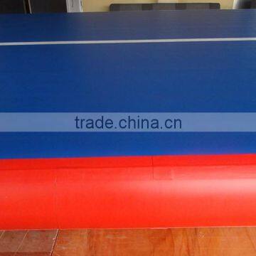 Hot Sale DWF Inflatable Air Tumbling Mat photo-6
