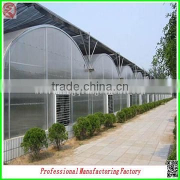 high quality/best selling arched type multi-span greenhouse for garden