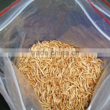 Best selling hikari fish food animal feed mealworm