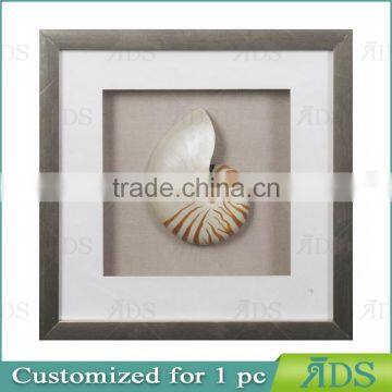 Chinese Nautilus Shells Graphic Art Shadow Box Gift Ideas Wall Decor photo-3