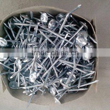 Top Quality Umbrella Roofing Nails
