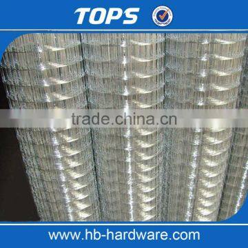 Manufacture Good Price 6x6 10/10 Welded Wire Rabbit Cage Mesh photo-5