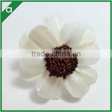 Fashion Handmade Sola Flower for Fragrance Diffuser