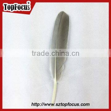 Cheap Colorf Cleaning Goose Artificial Feathers for DIY Sale Cheap photo-4