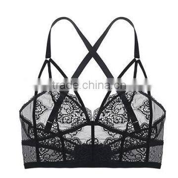 Runwaylover 5332 Hot Sale Ladie Sexy Ladies New Bra Set photo-5