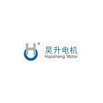 Changzhou City Haosheng Motor Co.,Ltd