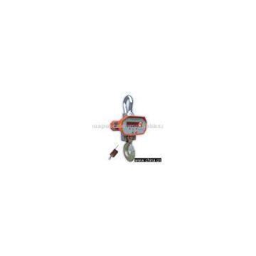 Crane scales