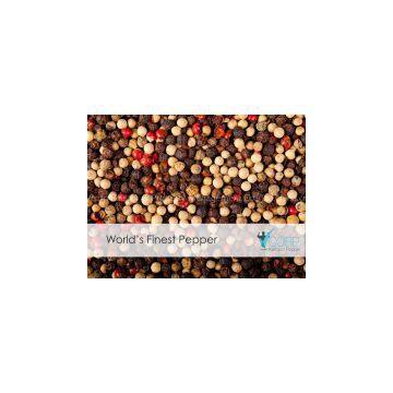 PREMIUM KAMPOT BLACK & WHITE PEPPER photo-2