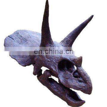 dinosaur skeleton