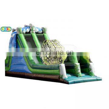 inflatable crocodile water slide