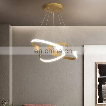 Living Room Chandelier Modern Minimalist Creative Led Duplex Building Ring Nordic Bedroom Dining Room Lamps photo-5