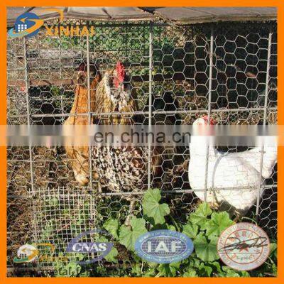 Best Price!!! Hot Sale Chicken Coop/hexagonal Wire Netting/Chicken Wire Mesh photo-2