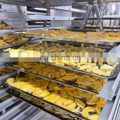 Mango Fresa Fruit and Vegetable Freeze Drying Equipment Freeze Dryer Lyophilizer Laboratory