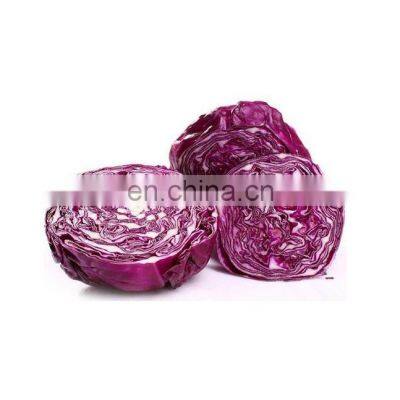 Free Sample Food Additives Organic10:1 Purple Cabbage Extract photo-2